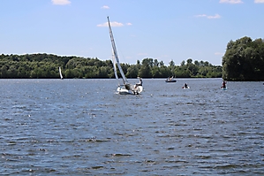 IMG_2900