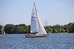 IMG_2910