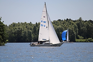 IMG_2913