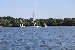 IMG_2923