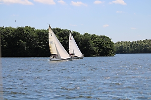 IMG_2938